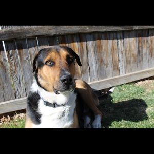 Meet your Posher, Tylar